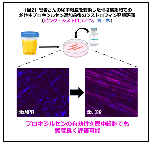 図2